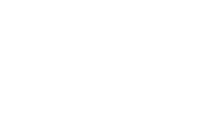 Palmore Electronic logosu